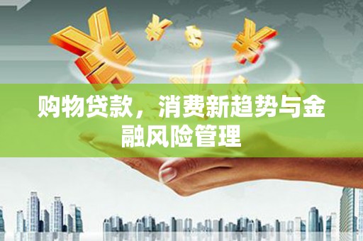 昆明购物贷款，消费新趋势与金融风险管理