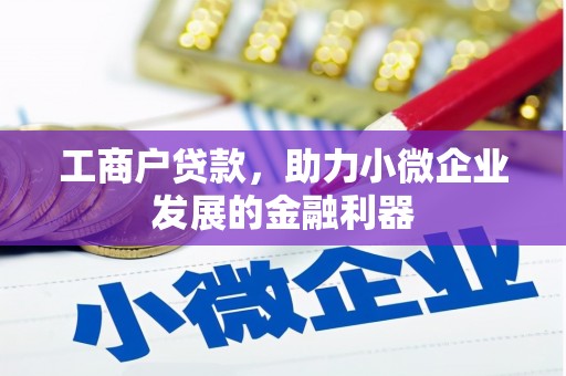 昆明工商户贷款,助力小微企业发展的金融利器 昆明工商户贷款,助力小微企业发展的金融利器