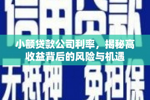 昆明小额贷款公司利率，揭秘高收益背后的风险与机遇