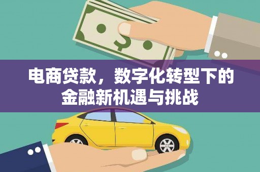 昆明电商贷款，数字化转型下的金融新机遇与挑战