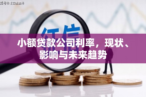 昆明小额贷款公司利率，现状、影响与未来趋势