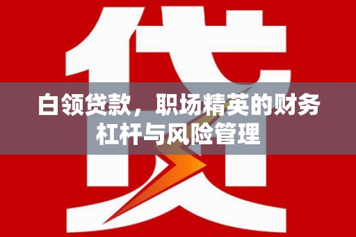 昆明白领贷款，职场精英的财务杠杆与风险管理
