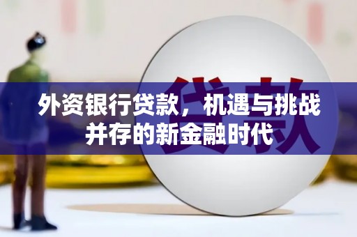 昆明外资银行贷款，机遇与挑战并存的新金融时代