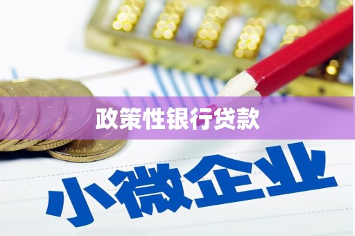 昆明政策性银行贷款