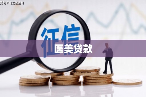 昆明医美贷款