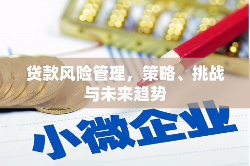 昆明贷款风险管理，策略、挑战与未来趋势