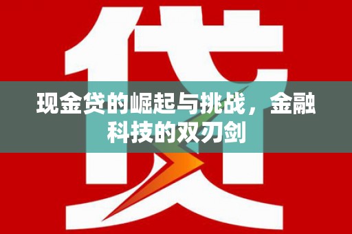昆明现金贷的崛起与挑战，金融科技的双刃剑