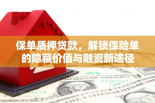昆明保单质押贷款，解锁保险单的隐藏价值与融资新途径
