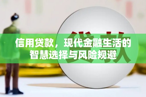 昆明信用贷款，现代金融生活的智慧选择与风险规避
