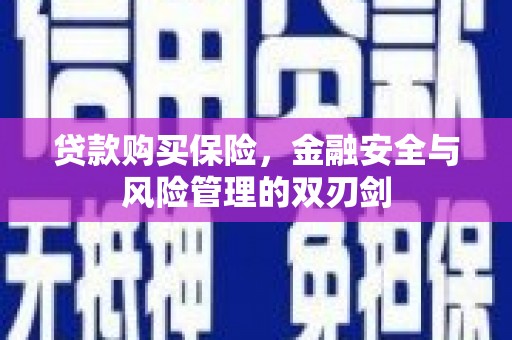 昆明贷款购买保险，金融安全与风险管理的双刃剑