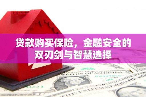 昆明贷款购买保险，金融安全的双刃剑与智慧选择