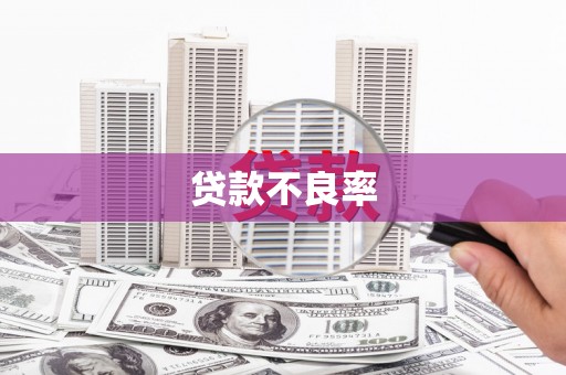 昆明贷款不良率