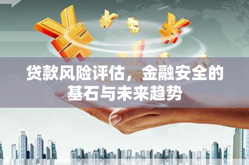 昆明贷款风险评估，金融安全的基石与未来趋势