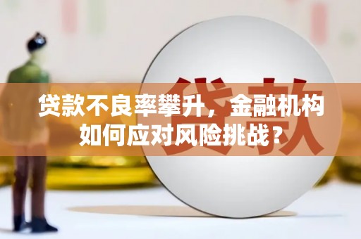 昆明贷款不良率攀升，金融机构如何应对风险挑战？