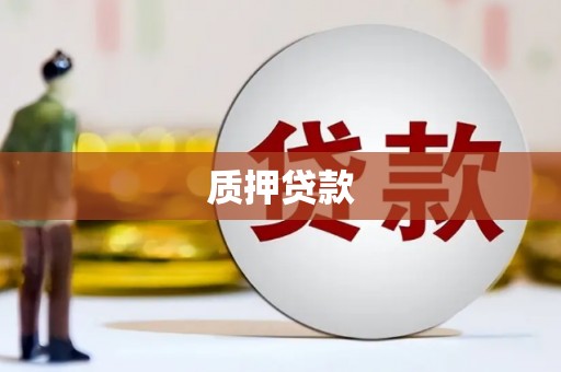 昆明质押贷款
