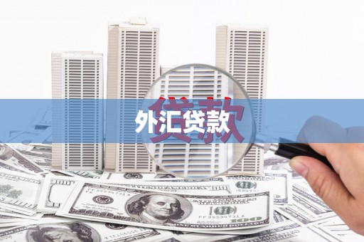昆明外汇贷款