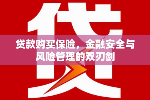 昆明贷款购买保险，金融安全与风险管理的双刃剑