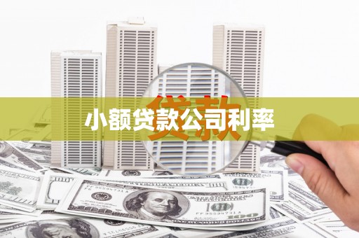 昆明小额贷款公司利率