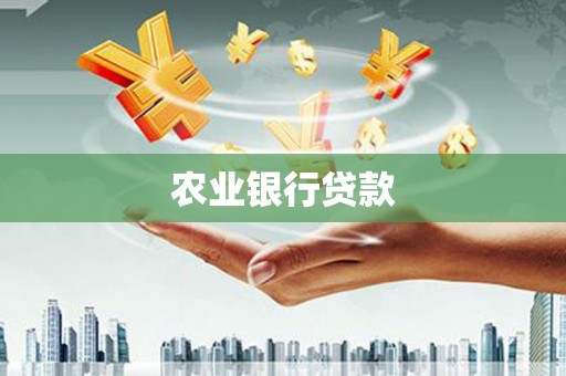 昆明农业银行贷款