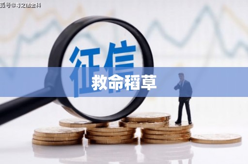 昆明救命稻草