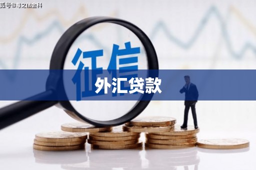 昆明外汇贷款
