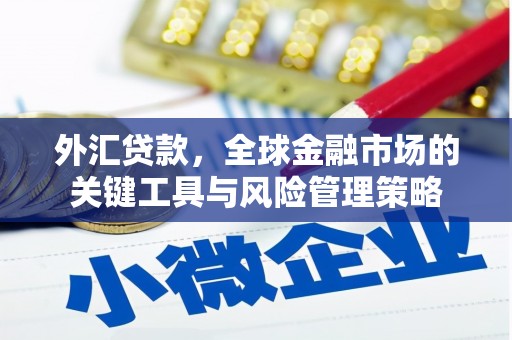 昆明外汇贷款，全球金融市场的关键工具与风险管理策略