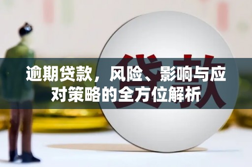昆明逾期贷款，风险、影响与应对策略的全方位解析