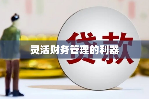 昆明灵活财务管理的利器