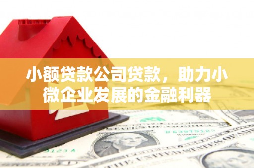昆明小额贷款公司贷款，助力小微企业发展的金融利器
