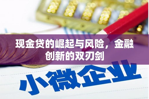 昆明现金贷的崛起与风险，金融创新的双刃剑