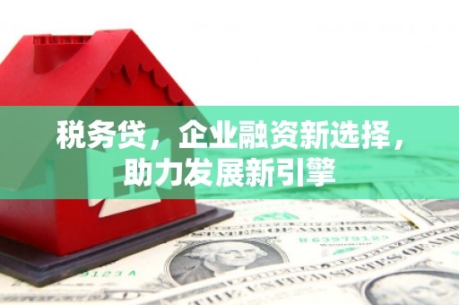 昆明税务贷，企业融资新选择，助力发展新引擎