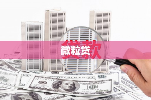 昆明微粒贷