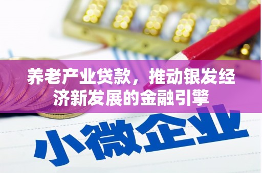 昆明养老产业贷款，推动银发经济新发展的金融引擎