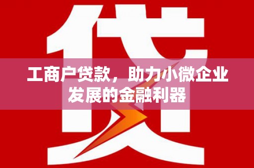 昆明工商户贷款，助力小微企业发展的金融利器