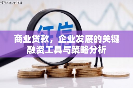 昆明商业贷款，企业发展的关键融资工具与策略分析