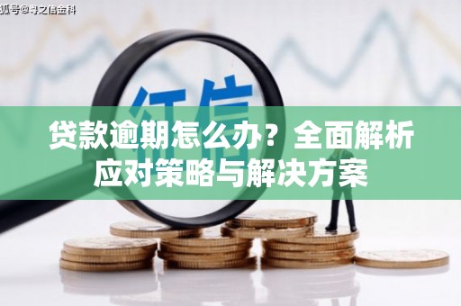 昆明贷款逾期怎么办？全面解析应对策略与解决方案