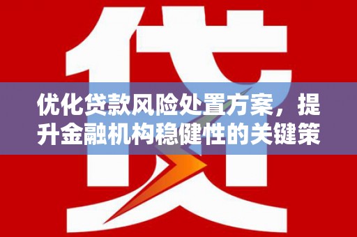 昆明优化贷款风险处置方案，提升金融机构稳健性的关键策略
