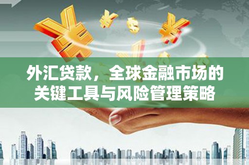 昆明外汇贷款，全球金融市场的关键工具与风险管理策略