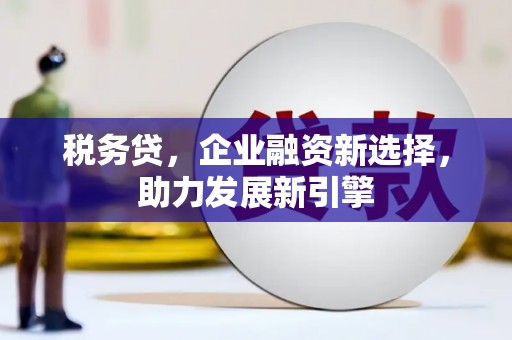 昆明税务贷，企业融资新选择，助力发展新引擎