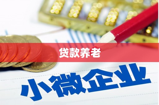昆明贷款养老