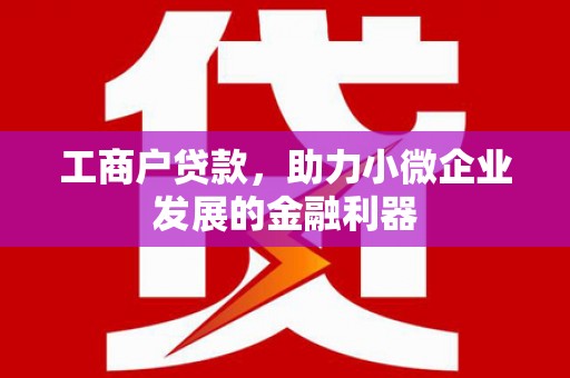 昆明工商户贷款，助力小微企业发展的金融利器