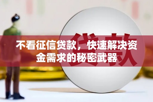 昆明不看征信贷款，快速解决资金需求的秘密武器