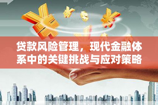 昆明贷款风险管理，现代金融体系中的关键挑战与应对策略
