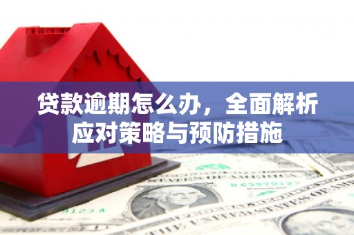 昆明贷款逾期怎么办，全面解析应对策略与预防措施