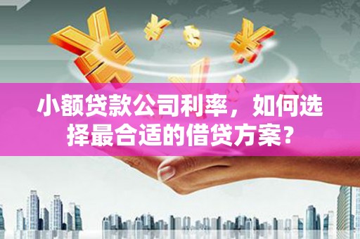 昆明小额贷款公司利率，如何选择最合适的借贷方案？