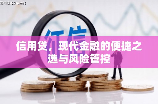 昆明信用贷，现代金融的便捷之选与风险管控