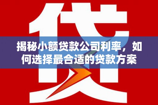 昆明揭秘小额贷款公司利率，如何选择最合适的贷款方案