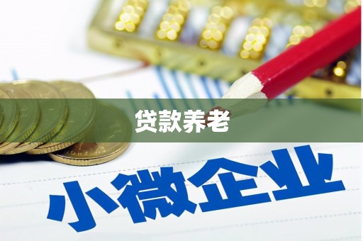 昆明贷款养老