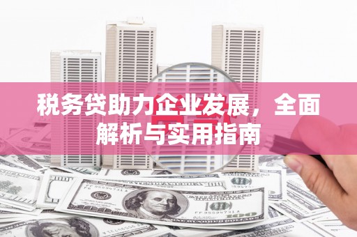 昆明税务贷助力企业发展，全面解析与实用指南