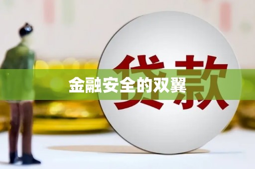昆明金融安全的双翼